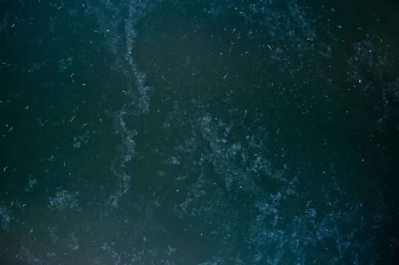 Tournaverse Kasino Sokongan